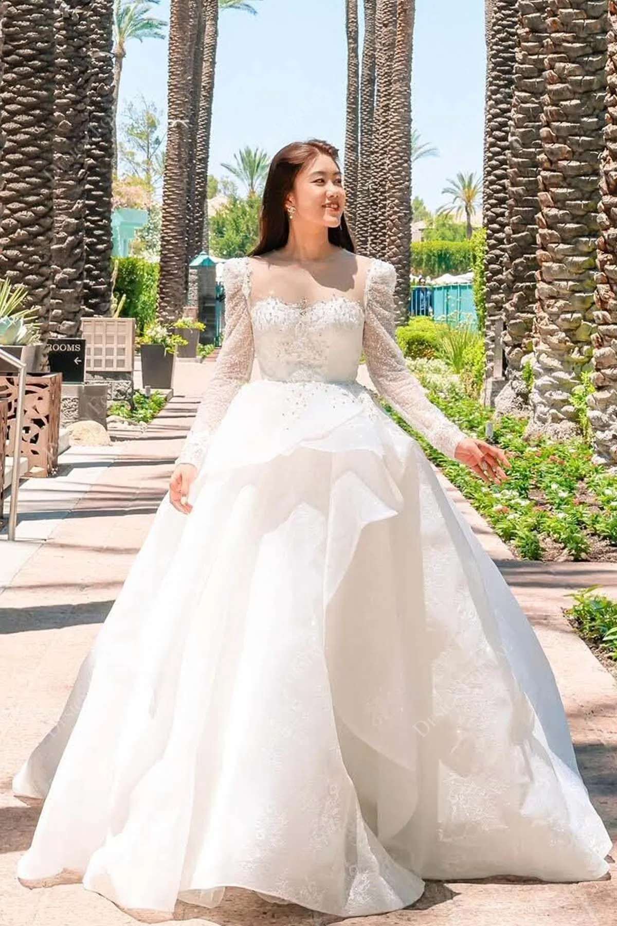 Designer Sparkly Sleeves Structured Lace Ball Gown Wedding Dress