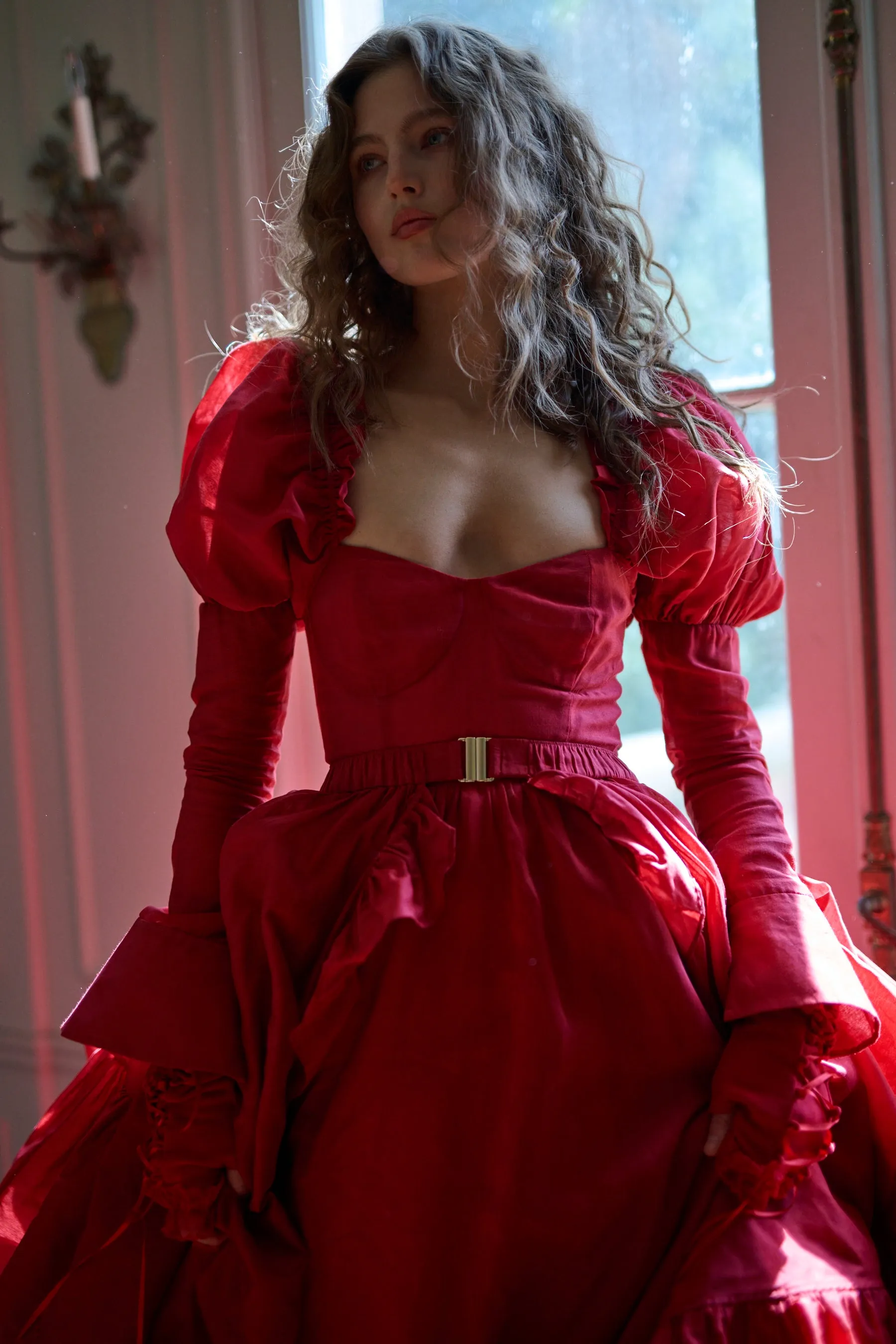 The Rouge Astronomers Gown