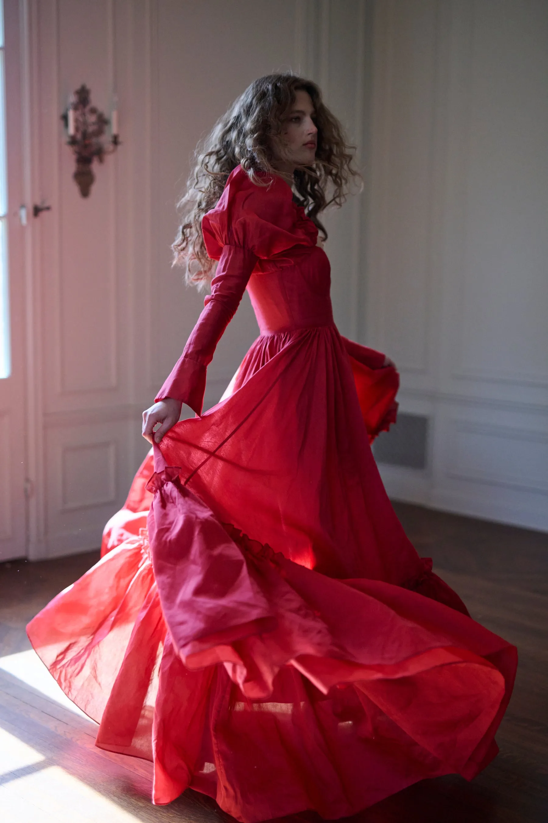The Rouge Astronomers Gown