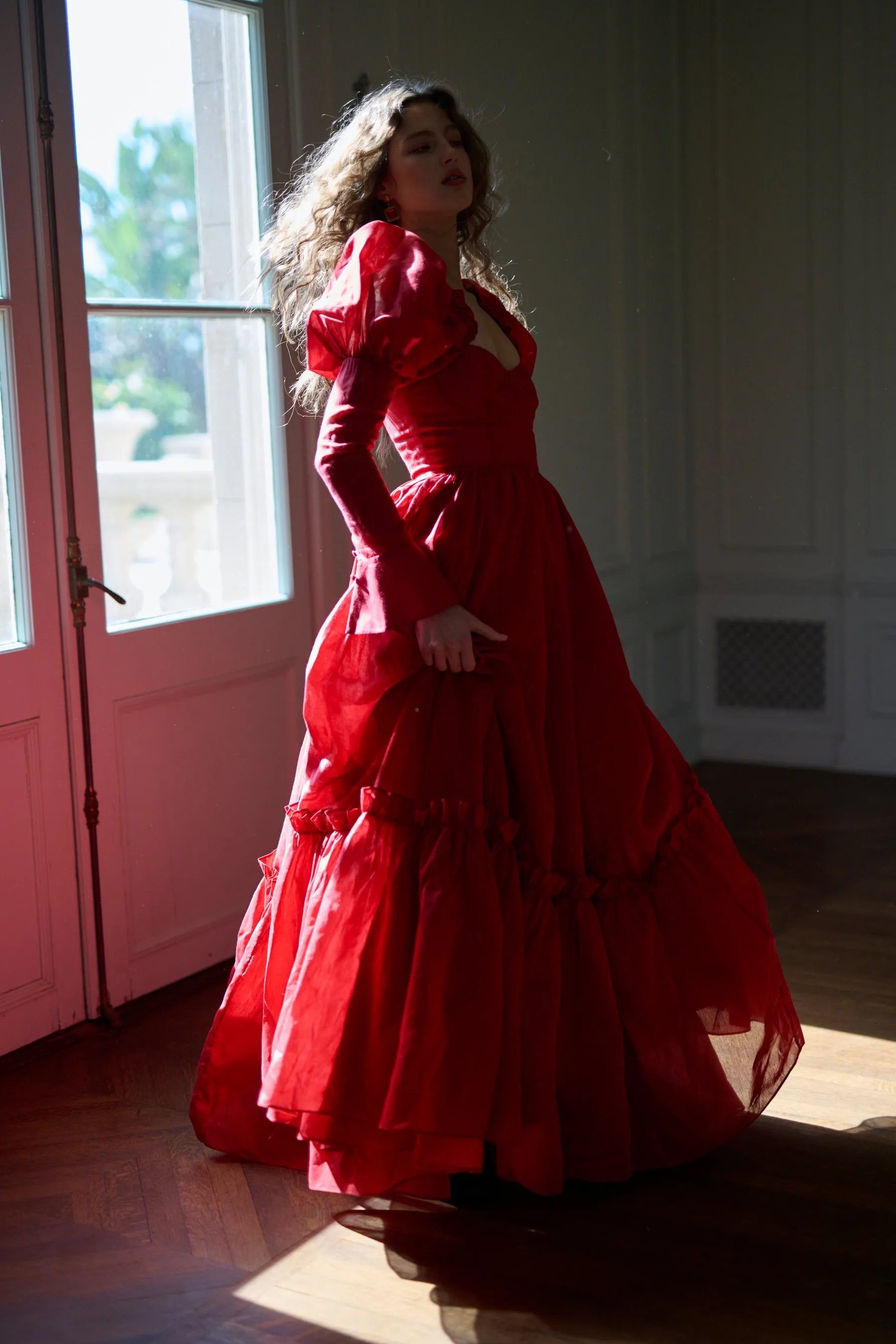 The Rouge Astronomers Gown